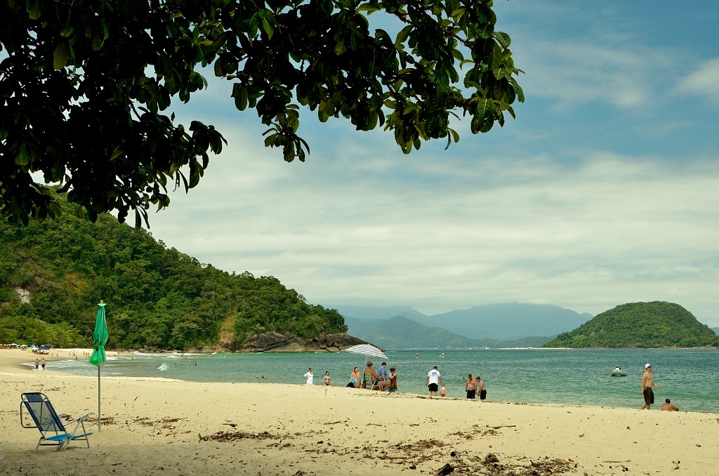 Praia do Félix, em Ubatuba. Visão da areia para o mar, na sombra de uma árvore. É possível ver pessoas na areia e banhistas no mar azul.